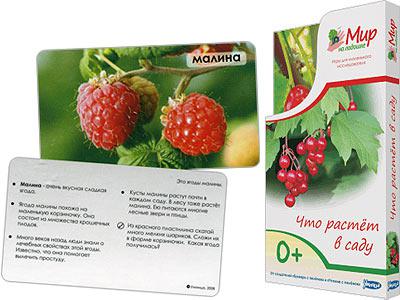 Мир на ладошке ЧТО РАСТЕТ В САДУ Умница