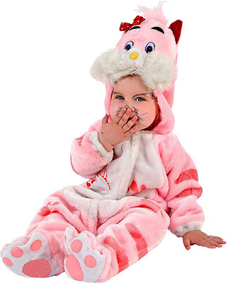 Милый котенок, 9-12 месяцев Veneziano