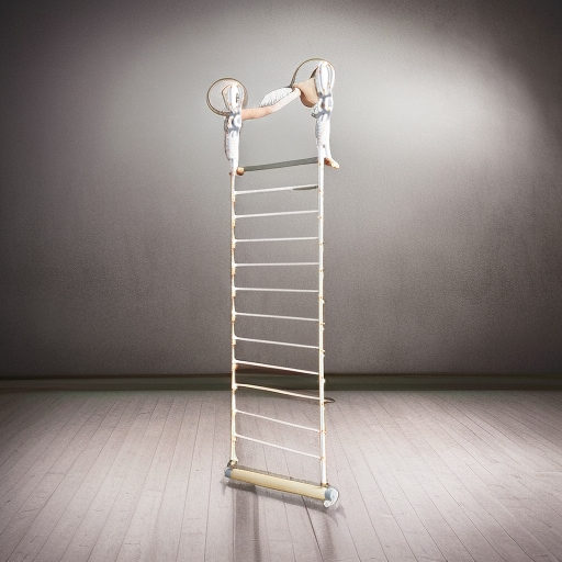 Трапеция Romana Dop19