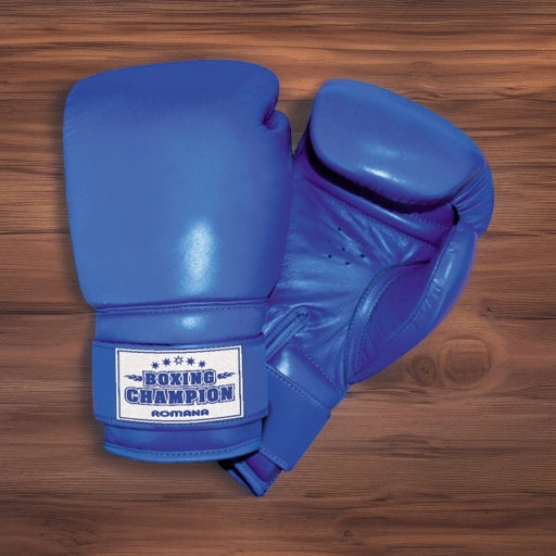 Перчатки боксерские Romana для детей 10-12 лет (8 унций)