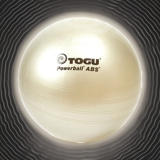 Гимнастический мяч TOGU ABS Powerball 65 см серебряный