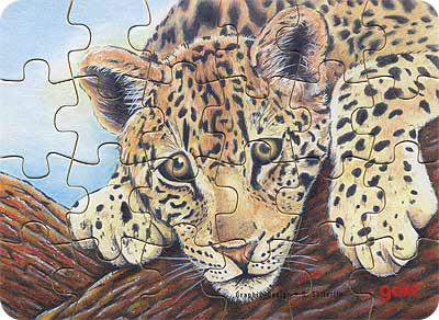 Дикие животные ЛЕОПАРД Goki