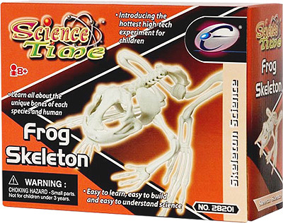 Скелет ЛЯГУШКИ Eastcolight