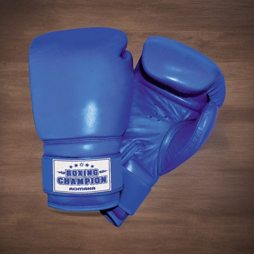 Перчатки боксерские Romana для детей 10-12 лет (8 унций)