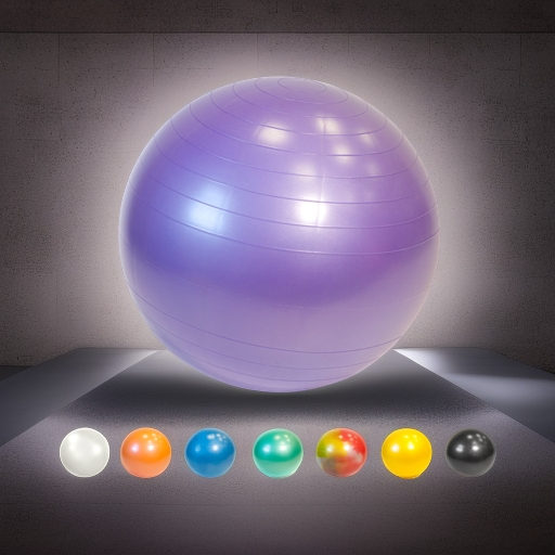 Мяч гимнастический фитбол GYMNIC PLUS 65 см, фиолетовый Ledraplastic