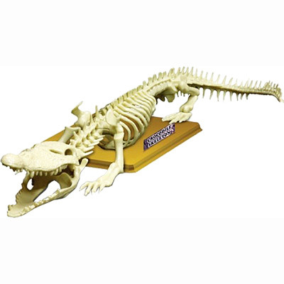 Скелет КРОКОДИЛА Eastcolight