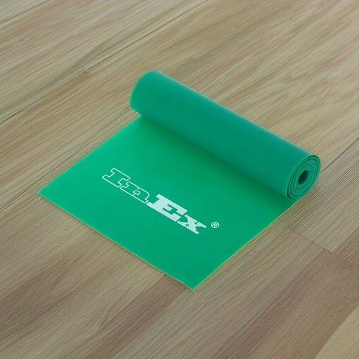 Ленточный амортизатор INEX Body-Band 2,5 м сопротивление 4,3-5,0 кг