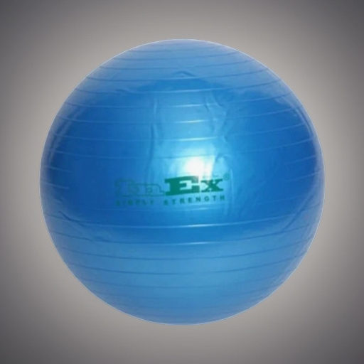 Гимнастический мяч INEX Swiss ball 75 см
