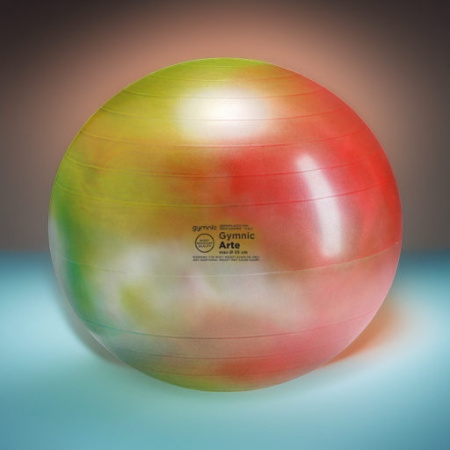 Мяч гимнастический GYMNIC ARTE 55 Ledraplastic