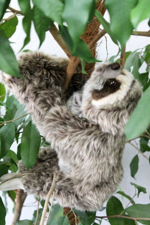 Игрушка мягкая Ленивец 32 см LEOSCO