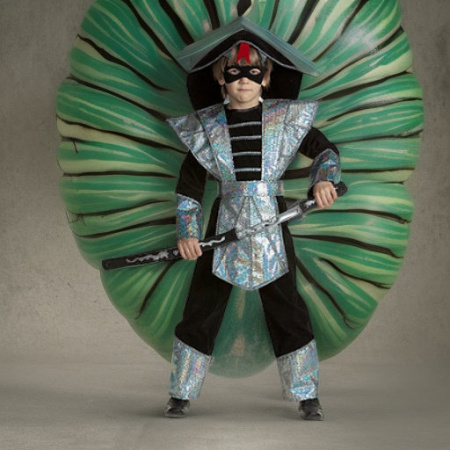 Ниндзя серебряный