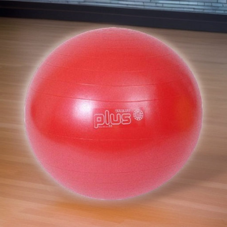 Мяч гимнастический фитбол GYMNIC PLUS 55 см Ledraplastic