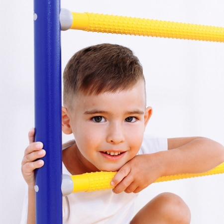 Шведская стенка Романа в квартиру Next Top синяя слива