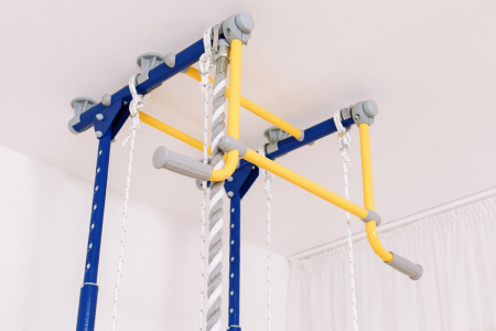 Шведская стенка R2 синяя слива