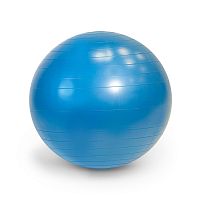 Мяч гимнастический фитбол GYMNIC PLUS 65 см Ledraplastic