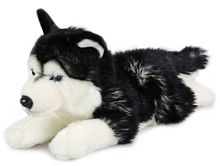 Игрушка мягкая Хаски лежащая 36 см LEOSCO