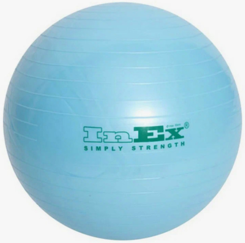 Гимнастический мяч INEX Swiss ball 55 см