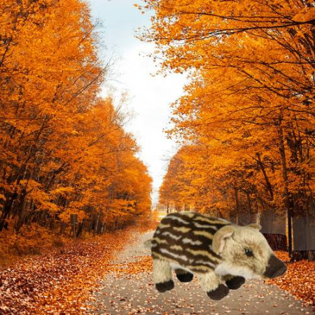 Игрушка мягкая Кабанчик 21 см LEOSCO