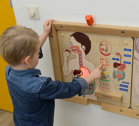 Панель настенная Пищеварительная система Masterkids