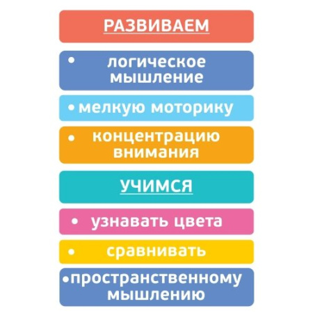 Пирамидка деревянная 9 деталей Томик