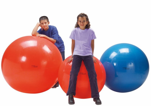 Мяч гимнастический PHYSIO GYMNIC для фитнеса синий 95 см Ledraplastic