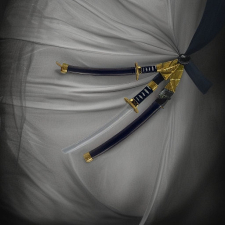 Оружие НИНДЗЯ Widmann