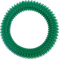 Кольцо массажное AKU RING 17 см, зеленое Ledraplastic
