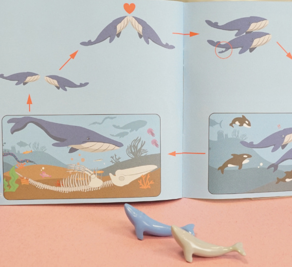 Счетный набор Киты в 3-х цветах, 36 штук EDX Education