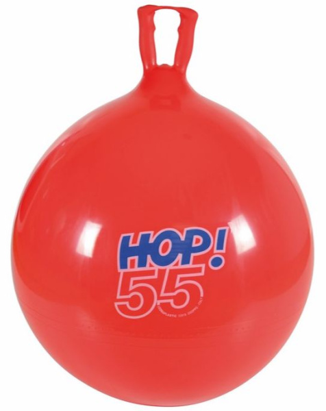 Мяч-попрыгун HOP 55 см