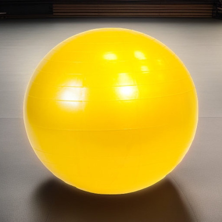 Гимнастический мяч фитбол GYMNIC PLUS 75 см Ledraplastic