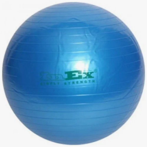 Гимнастический мяч INEX Swiss ball 75 см