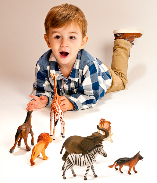 Дикие животные, 9 фигурок Miniland