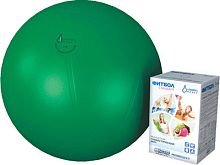 Мяч гимнастический медицинский ФИТБОЛ СТАНДАРТ 55 см, зеленый Альпина Пласт