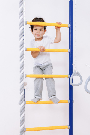 Шведская стенка R2 синяя слива