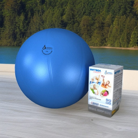 Мяч гимнастический медицинский ФИТБОЛ СТАНДАРТ 55 см, голубой Альпина Пласт