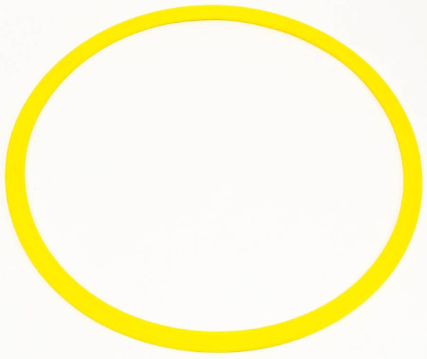 Обруч гимнастический плоский 30 см, 1 штука Тех-пласт