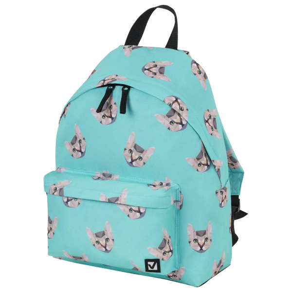 Рюкзак универсальный сити-формат Cats, 41х32х14 см