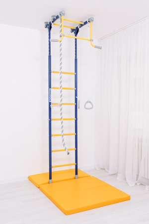 Шведская стенка R2 синяя слива