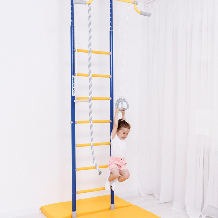 Шведская стенка R2 синяя слива