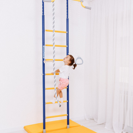 Шведская стенка R2 синяя слива