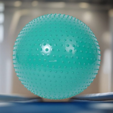 Мяч гимнастический фитбол THERASENSORY 65 см Ledraplastic