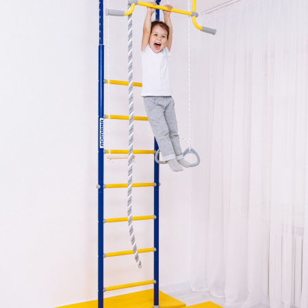 Шведская стенка R2 синяя слива