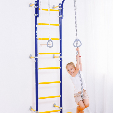 Шведская стенка Романа в квартиру Next Top синяя слива