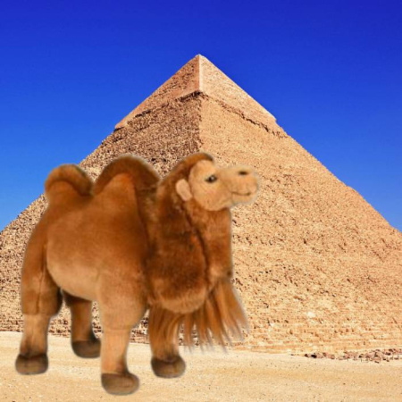 Игрушка мягкая Bерблюд 27 см LEOSCO