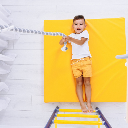 Шведская стенка Романа в квартиру Next Top синяя слива