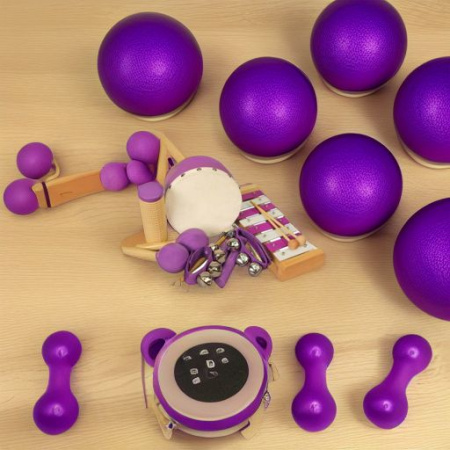 Набор перкуссии 6 предметов фиолетовый Flight