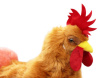 Игрушка мягкая Петух 35 см LEOSCO