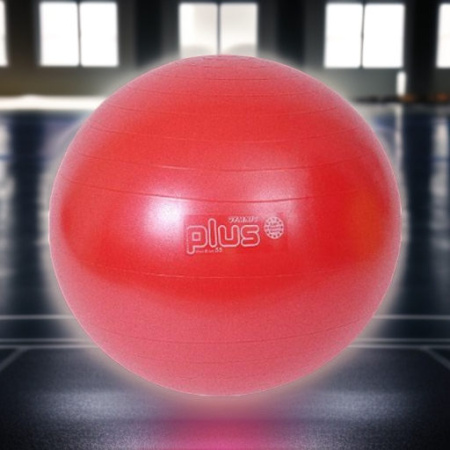 Мяч гимнастический фитбол GYMNIC PLUS 55 см Ledraplastic